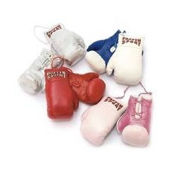 Paffen Sport Mini-Boxhandschuhe