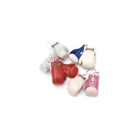 Paffen Sport Mini-Boxhandschuhe