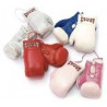 Paffen Sport Mini-Boxhandschuhe