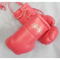 Jassmann Mini-Boxhandschuhe