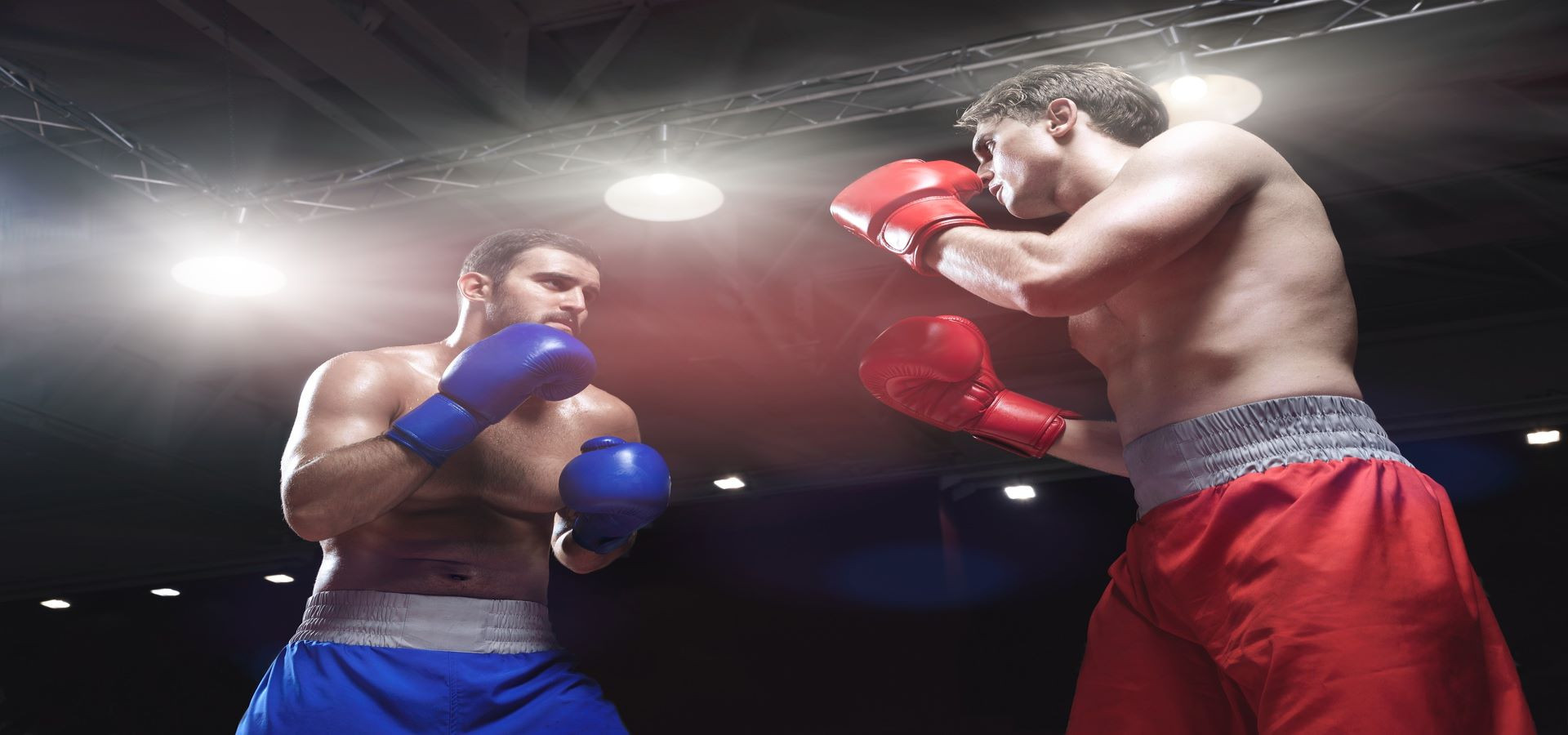 RINGEILITE BOXING
